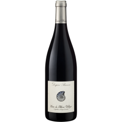 Côtes du Rhône Villages 2022